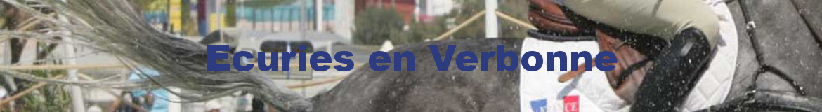 Ecuries en Verbonne